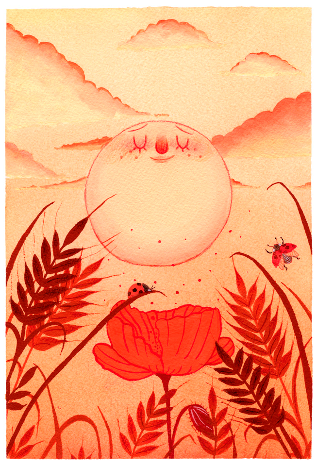 Poppies and ladybirds are illuminated by the red and orange sun.